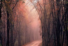 纽约尼克斯客场告捷，终结颓势，点燃希望之火！