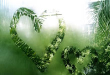 骑士的荣耀时刻：剑指巅峰，士气如虹！