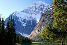 骑士的荣耀时刻：剑指巅峰，士气如虹！