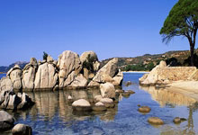 骑士的荣耀时刻：剑指巅峰，士气如虹！