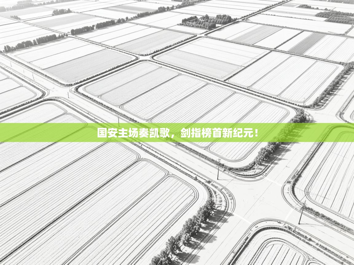 国安主场奏凯歌，剑指榜首新纪元！  第2张