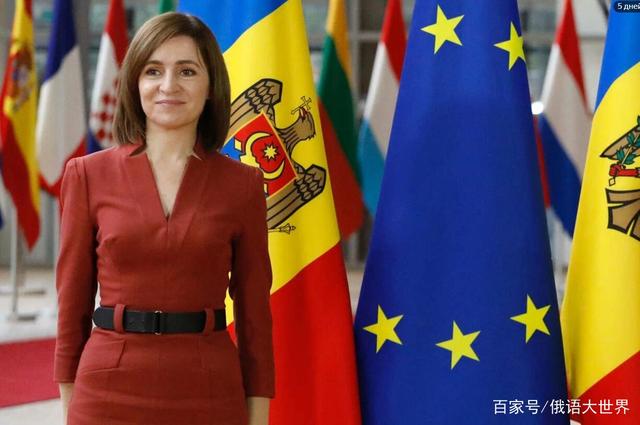 爱游戏在线登录-摩尔多瓦与巴拉圭冠军之争，庆祝欢庆一番的简单介绍