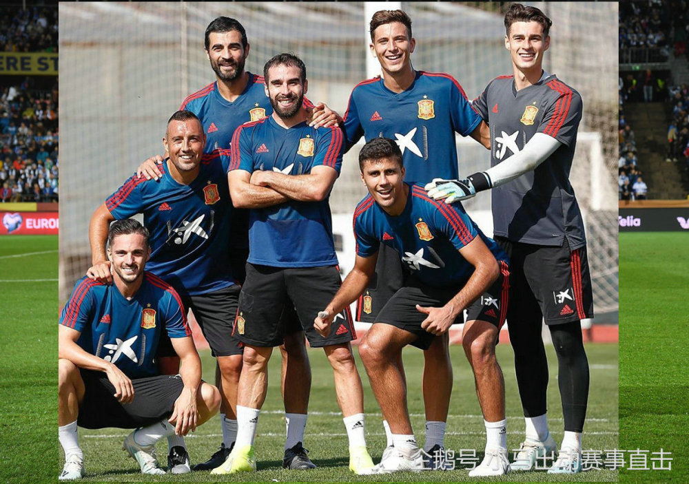 波斯尼亚队在欧预赛中霸气登顶！