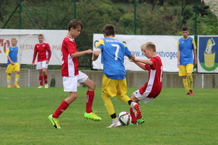 爱游戏入口-湖北长江队前锋紧咬进球王头衔，贡献出色，血战主题曲